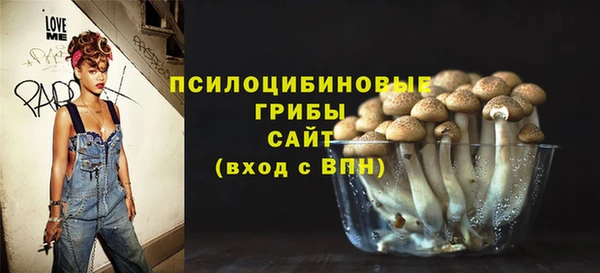 гидра Коряжма