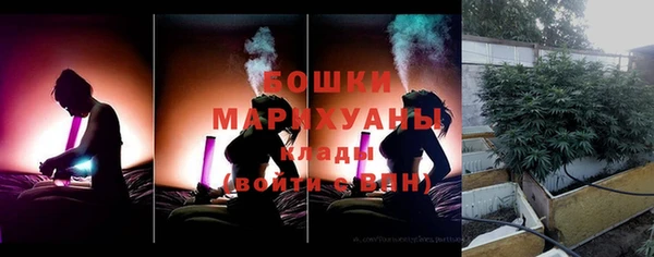 гидра Коряжма