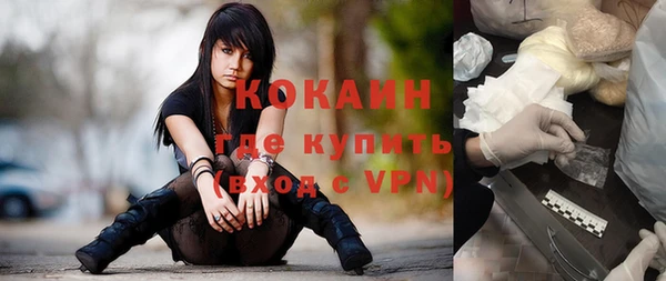 гидра Коряжма
