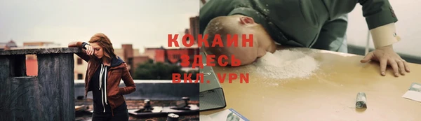 гидра Коряжма