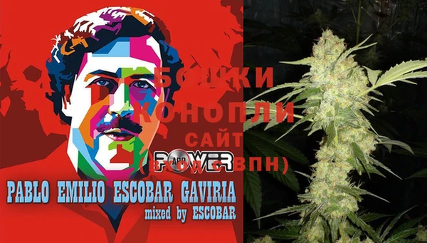 гидра Коряжма