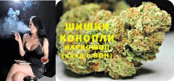 гидра Коряжма