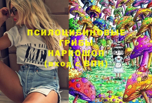 трава Архангельск
